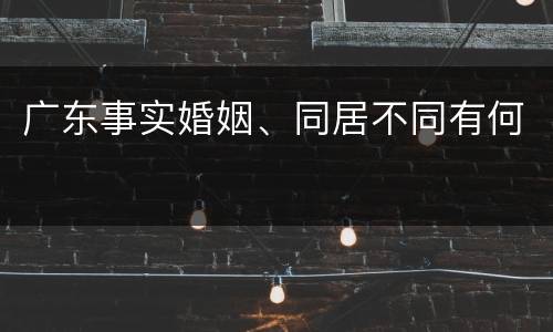 广东事实婚姻、同居不同有何