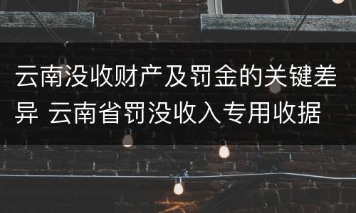 云南没收财产及罚金的关键差异 云南省罚没收入专用收据