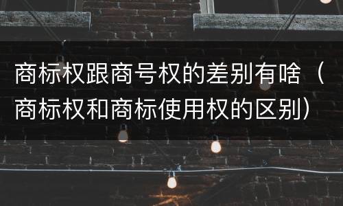 商标权跟商号权的差别有啥（商标权和商标使用权的区别）