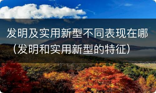 发明及实用新型不同表现在哪（发明和实用新型的特征）