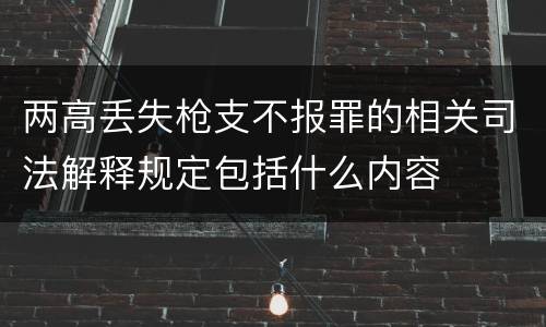 两高丢失枪支不报罪的相关司法解释规定包括什么内容