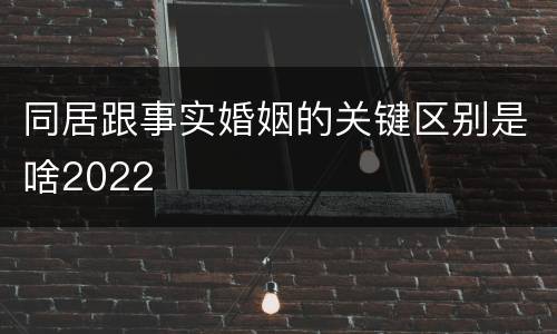 同居跟事实婚姻的关键区别是啥2022