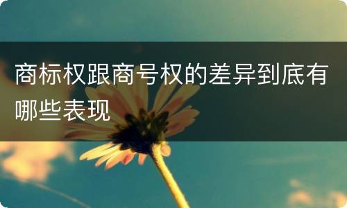 商标权跟商号权的差异到底有哪些表现