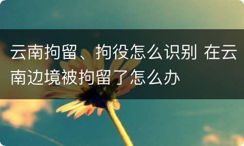 云南拘留、拘役怎么识别 在云南边境被拘留了怎么办