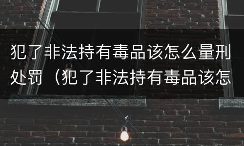 犯了非法持有毒品该怎么量刑处罚（犯了非法持有毒品该怎么量刑处罚依据）