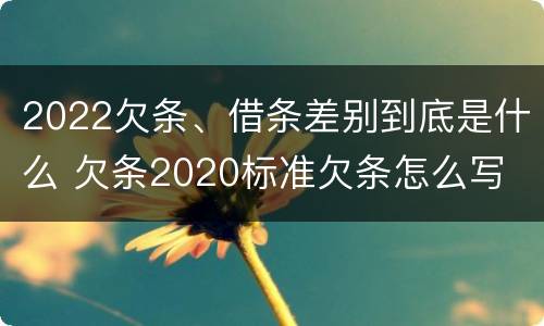 2022欠条、借条差别到底是什么 欠条2020标准欠条怎么写
