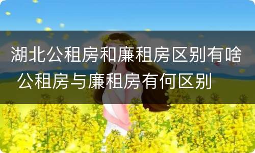 湖北公租房和廉租房区别有啥 公租房与廉租房有何区别