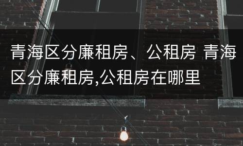 青海区分廉租房、公租房 青海区分廉租房,公租房在哪里