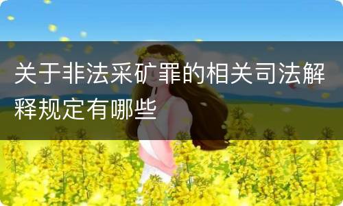 关于非法采矿罪的相关司法解释规定有哪些