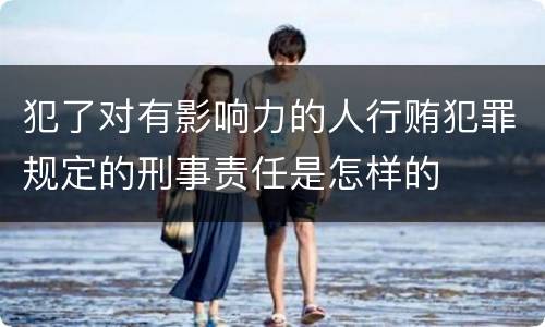 犯了对有影响力的人行贿犯罪规定的刑事责任是怎样的