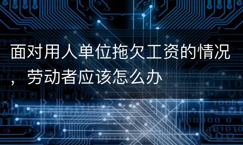 面对用人单位拖欠工资的情况，劳动者应该怎么办