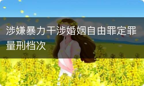 涉嫌暴力干涉婚姻自由罪定罪量刑档次