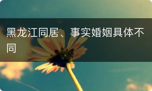 黑龙江同居、事实婚姻具体不同