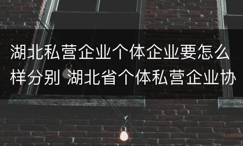 湖北私营企业个体企业要怎么样分别 湖北省个体私营企业协会