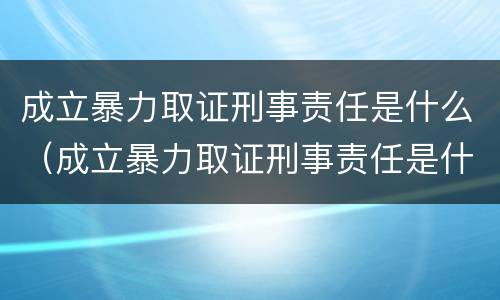 成立暴力取证刑事责任是什么（成立暴力取证刑事责任是什么意思）