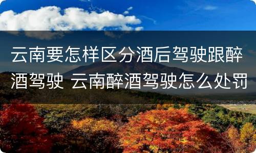 云南要怎样区分酒后驾驶跟醉酒驾驶 云南醉酒驾驶怎么处罚