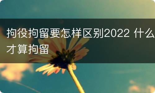拘役拘留要怎样区别2022 什么才算拘留