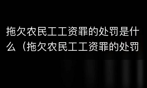 拖欠农民工工资罪的处罚是什么（拖欠农民工工资罪的处罚是什么法律）