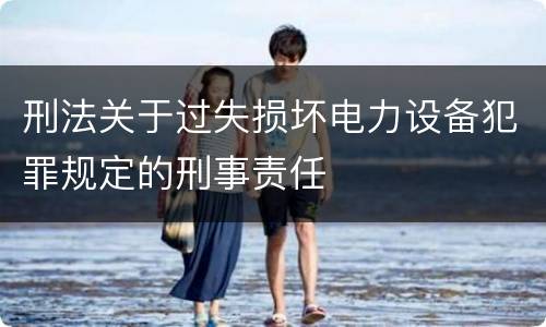刑法关于过失损坏电力设备犯罪规定的刑事责任