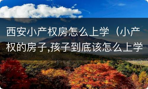 西安小产权房怎么上学（小产权的房子,孩子到底该怎么上学）