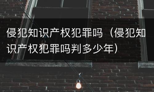 侵犯知识产权犯罪吗（侵犯知识产权犯罪吗判多少年）