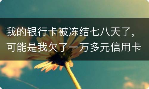 我的银行卡被冻结七八天了，可能是我欠了一万多元信用卡的钱吧