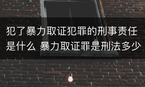 犯了暴力取证犯罪的刑事责任是什么 暴力取证罪是刑法多少条
