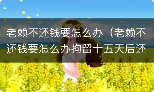 老赖不还钱要怎么办（老赖不还钱要怎么办拘留十五天后还拘留吗）