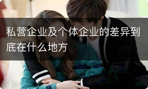 私营企业及个体企业的差异到底在什么地方
