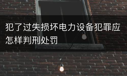 犯了过失损坏电力设备犯罪应怎样判刑处罚