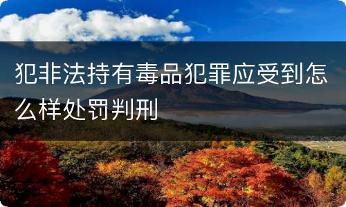 犯非法持有毒品犯罪应受到怎么样处罚判刑