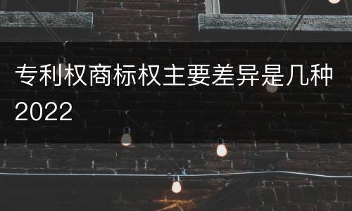 专利权商标权主要差异是几种2022