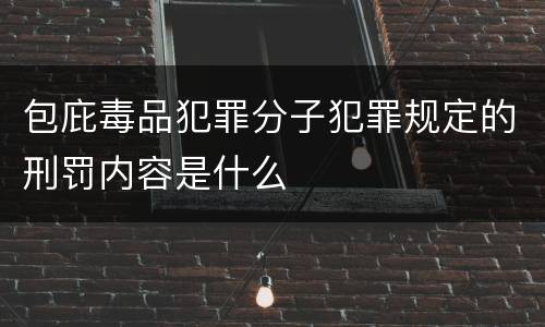 包庇毒品犯罪分子犯罪规定的刑罚内容是什么