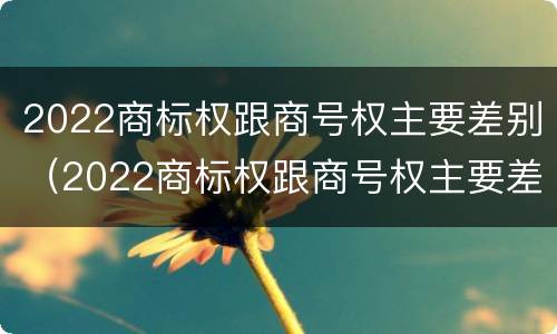 2022商标权跟商号权主要差别（2022商标权跟商号权主要差别在哪）