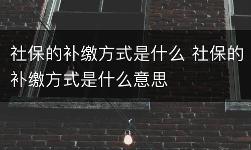 社保的补缴方式是什么 社保的补缴方式是什么意思