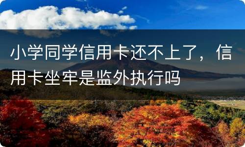 小学同学信用卡还不上了，信用卡坐牢是监外执行吗