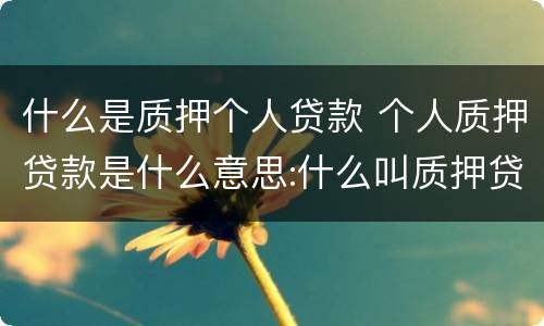 什么是质押个人贷款 个人质押贷款是什么意思:什么叫质押贷款