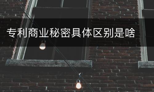 专利商业秘密具体区别是啥