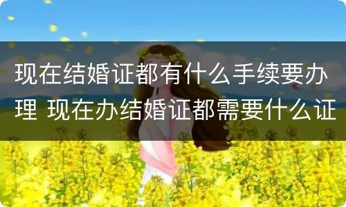 现在结婚证都有什么手续要办理 现在办结婚证都需要什么证明