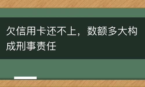 欠信用卡还不上，数额多大构成刑事责任