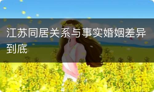 江苏同居关系与事实婚姻差异到底