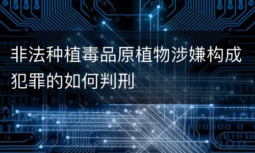 非法种植毒品原植物涉嫌构成犯罪的如何判刑