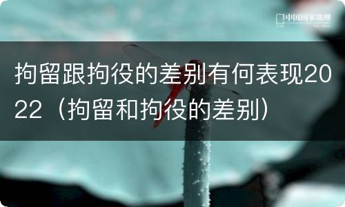 拘留跟拘役的差别有何表现2022（拘留和拘役的差别）