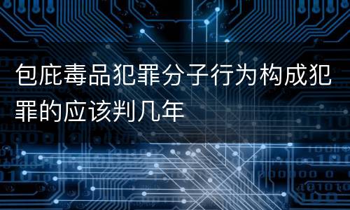 包庇毒品犯罪分子行为构成犯罪的应该判几年