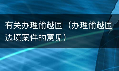 有关办理偷越国（办理偷越国边境案件的意见）