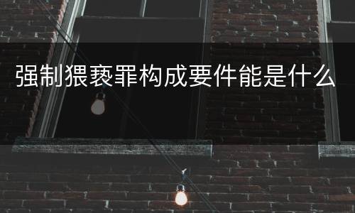 强制猥亵罪构成要件能是什么