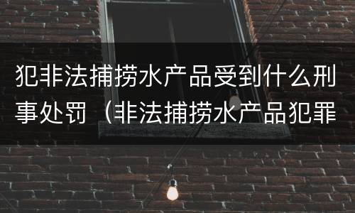 犯非法捕捞水产品受到什么刑事处罚（非法捕捞水产品犯罪）