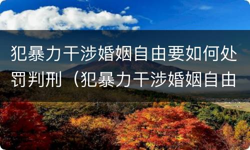 犯暴力干涉婚姻自由要如何处罚判刑（犯暴力干涉婚姻自由要如何处罚判刑多久）