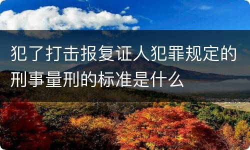 犯了打击报复证人犯罪规定的刑事量刑的标准是什么