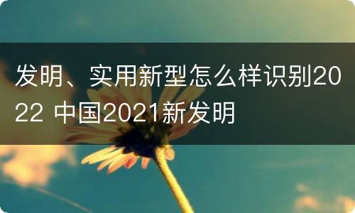 发明、实用新型怎么样识别2022 中国2021新发明